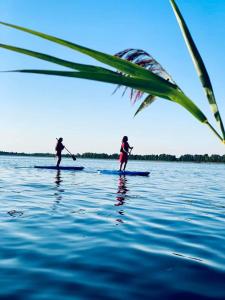 two people on paddle boards in the water at A. Smetonos Dvaro Smetonienės svetainė 