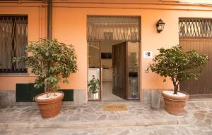 two trees in large pots in front of a building at Monza City Rooms & Studios in Monza