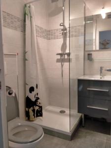 y baño con ducha, aseo y lavamanos. en STUDIO la TOUSSUIRE EN SAVOIE, en La Toussuire