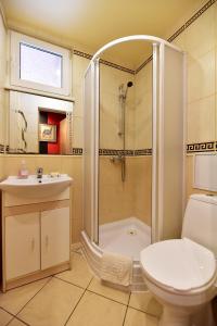 a bathroom with a shower and a toilet and a sink at Travel Apartment in Ventspils
