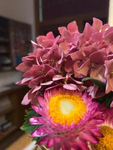 Gallery image of Zenner's Landhotel in Newel