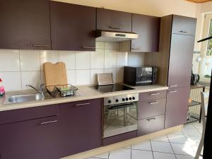 kuchnia z fioletowymi szafkami, zlewem i kuchenką mikrofalową w obiekcie Haus am Kurpark w mieście Clausthal-Zellerfeld