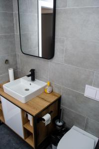 a bathroom with a sink and a mirror and a toilet at Lovely 1-bedroom rental unit with free parking in Skopje