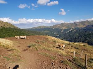 Príroda v okolí apartmánu