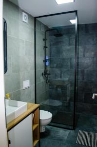 a bathroom with a shower and a toilet and a sink at Lovely 1-bedroom rental unit with free parking in Skopje