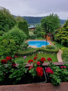 a garden with a swimming pool and red flowers at Haus Flora - Ferienwohnung Bodensdorf in Bodensdorf