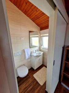 a small bathroom with a sink and a toilet at Didova kuća in Brodarica