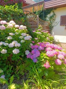 Ogród w obiekcie Haus Flora - Ferienwohnung Bodensdorf