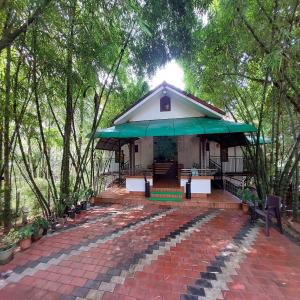 Ambalavayal的住宿－Misty Morning Resorts Wayanad，森林中一座带绿色屋顶的小建筑