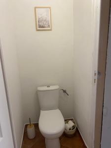 a white toilet in a bathroom with a picture on the wall at Chez Adri et Léa in Biguglia