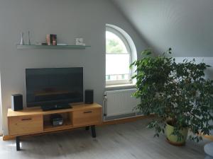 a living room with a flat screen tv and a plant at Villa Ostgardie in Schleswig