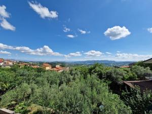 Příroda nedaleko apartmánu + 14 fotografií