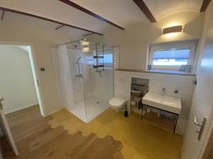 a bathroom with a shower and a toilet and a sink at Ferienwohnung Haus am Uckersee in Prenzlau
