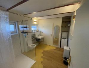 a bathroom with a sink and a toilet in a room at Ferienwohnung Haus am Uckersee in Prenzlau