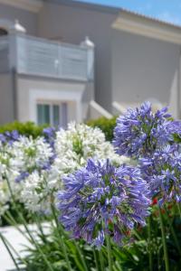 Il Borghetto Resort & Spa外面的花园