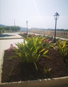 A garden outside Ca Olivar