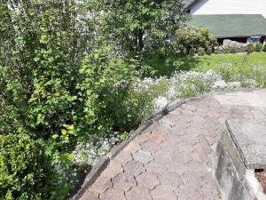 un jardín con flores blancas junto a un banco en Gierske Wohnung, en Olsberg