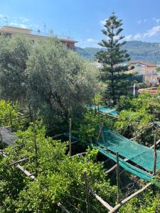 a garden with a fence and trees on a hill at Sorrento's Carme family big appartament in Sorrento
