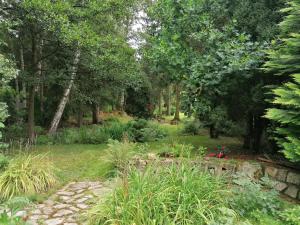 Zahrada ubytování Magnolie