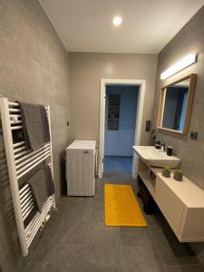 Koupelna v ubytování Apartmán LUEL