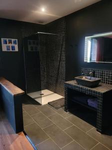 een badkamer met een douche, een wastafel en een spiegel bij Appartement de charme dans ancienne cave à vin in Le Boulou