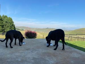 Gallery image of Twin peaks in Underberg