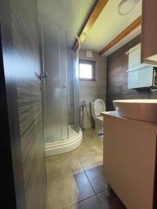 ein Bad mit einer Dusche und einem WC in der Unterkunft Cosy cottage Andrej in Danilovgrad
