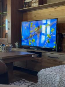 a flat screen tv sitting on top of a wooden table at Cosy cottage Andrej in Danilovgrad