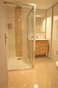 y baño con ducha y lavamanos. en #Golden Dream's By Nogar'Homes -Wi-Fi-Netflix-Climatisation-Parking, en Nogaro