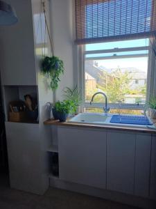 a kitchen with a sink and a window at The Fuzzy Duck in Broughty Ferry