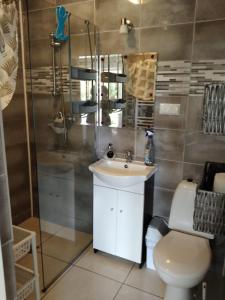 a bathroom with a sink and a shower and a toilet at U Halinki in Uherce Mineralne (7) +17 photos