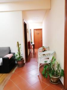 a living room with a couch and a table with plants at 1511 Guest House in Melaka