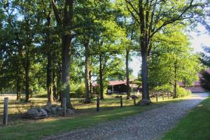 a path in a park with trees and a house at Alter Speicher in Soltau