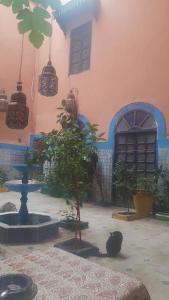Vrt u objektu RIAD DAR KADER chambre saumon