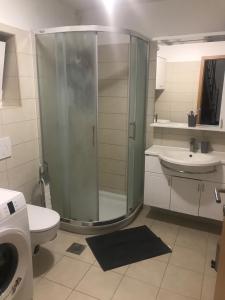 La salle de bains est pourvue d'une douche, de toilettes et d'un lavabo. dans l'établissement Beautiful house Lanna, à Izola