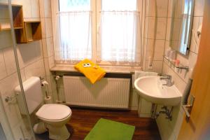 ein kleines Bad mit WC und Waschbecken in der Unterkunft Gasthof zum Löwen in Gößweinstein