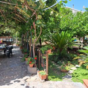A garden outside Il Gelso
