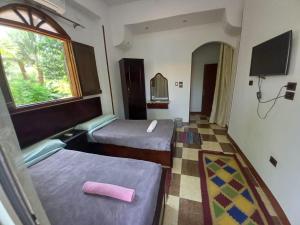 BAYT ZAINA - Nubian hospitality house في أسوان: غرفة فندقية بسريرين ونافذة