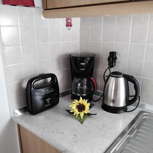 eine Küchentheke mit Kaffeemaschine und Sonnenblume darauf in der Unterkunft Ralloy Hoyse in Sami