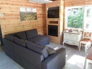 uma sala de estar com um sofá e uma televisão em Vakantiehuisje em Lanaken