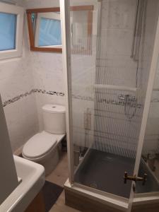 e bagno con servizi igienici e doccia in vetro. di Vakantiehuisje a Lanaken
