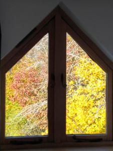 a window in a room with a view of trees at The Studio, Upper House Farm, Crickhowell. in Crickhowell
