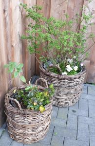 two baskets with plants in them sitting next to a fence at Ferienwohnung Jeannette I in Hasselfelde