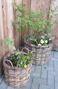 two baskets with plants in them sitting next to a fence at Ferienwohnung Heusler in Hasselfelde +7 photos