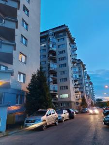 a street with cars parked in front of tall buildings at BYA DREAM VILLAGE in Iaşi