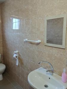 y baño con lavabo, espejo y aseo. en Alfa Guest House - Free Parking, en Varna