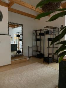 Zimmer mit einem Spiegel und einem Teppich in der Unterkunft Atelier Tiedemann in Soltau