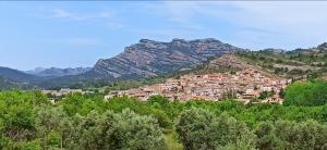 a village on a hill with a mountain in the background at Casa Patrick in Beceite
