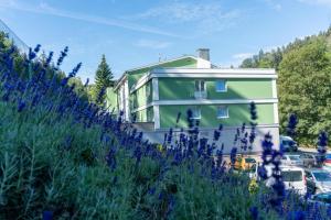 um edifício verde ao lado de um campo de flores roxas em Wellness Hotel GREEN PARADISE em Pirkenhammer