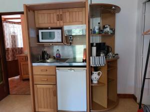 a small kitchen with a refrigerator and a microwave at SAGE Studio à côté de la Vézère in Treignac